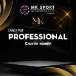 PROFESSIONAL
